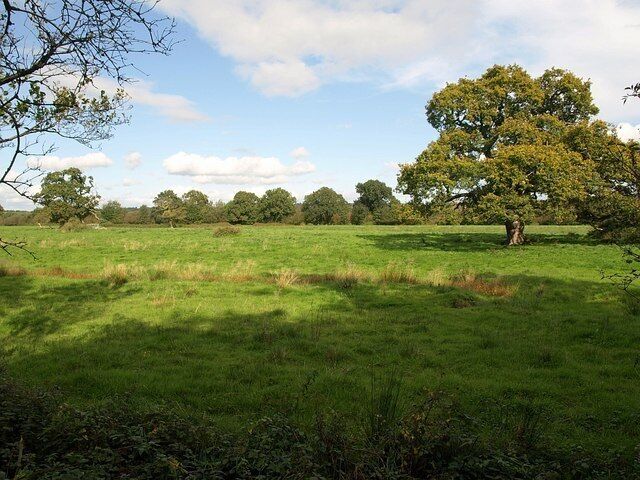Teign floodplain from the Templar Way. A glimpse through the trees that line the footpath across the meadows towards a field boundary also lined with trees. On the right is 993245.