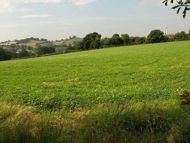 Field beside Greycoat Lane This may look absurdly lopsided but the twin chimneys of Cremtor on the right are vertical. Beyond the field are hills at Highweek - the right-hand one is Daracombe Beacon.