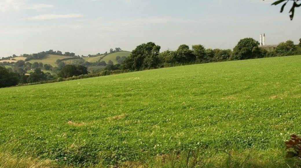 Field beside Greycoat Lane This may look absurdly lopsided but the twin chimneys of Cremtor on the right are vertical. Beyond the field are hills at Highweek - the right-hand one is Daracombe Beacon.