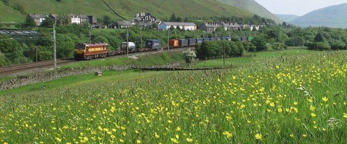 A train on tracks with a town in the background and a field of yellow flowers in the foreground.