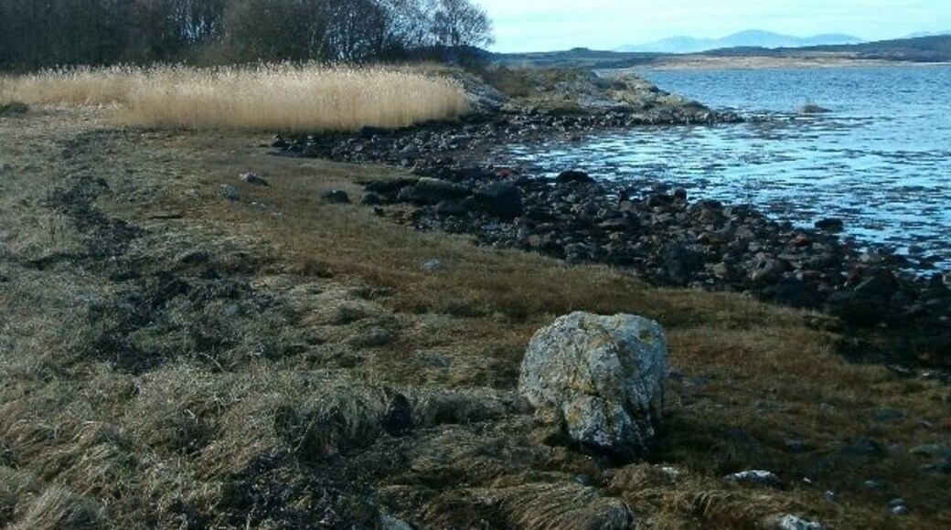 Foreshore, Loch Sween.