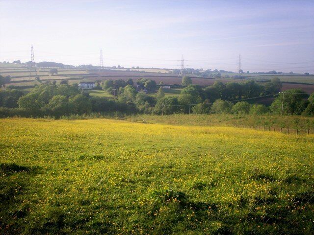 Beautiful Yellow Meadow, Llanteg - with Furzy Park in the Distance.