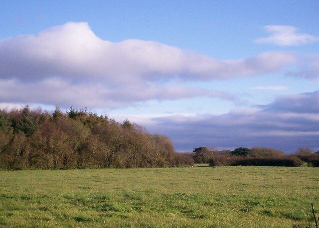 Overlooking Countryside, Trelessy Road, Llanteg Looking east over farmland off Trelessy Road and down over wooded valley. Village website at www.llanteg.co.uk
