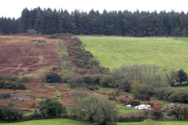 Marros Mountain, West Side This clearly shows the division between the rough grazing and the bracken and scrub of the mountain, with the forestry plantation to the south. This is the junction of the Carboniferous Limestone of the mountain and the Old Red Sandstone of the farmland, and the ground is prone to sudden cracks and holes appearing.