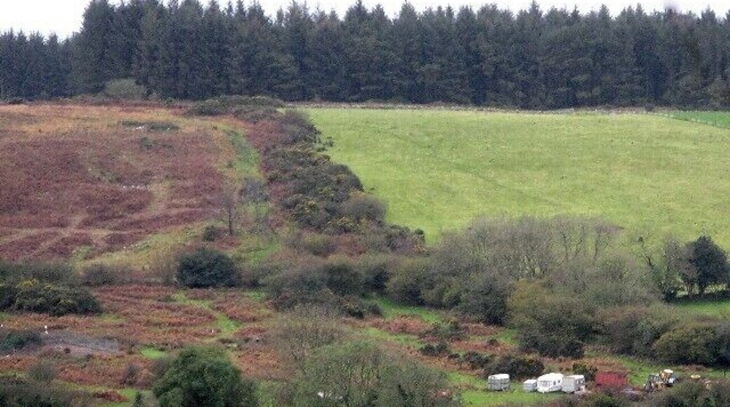 Marros Mountain, West Side This clearly shows the division between the rough grazing and the bracken and scrub of the mountain, with the forestry plantation to the south. This is the junction of the Carboniferous Limestone of the mountain and the Old Red Sandstone of the farmland, and the ground is prone to sudden cracks and holes appearing.