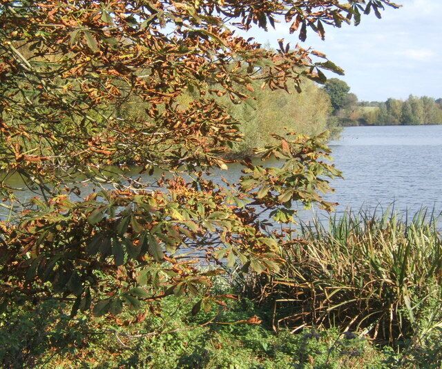 Autumnal Alton Water