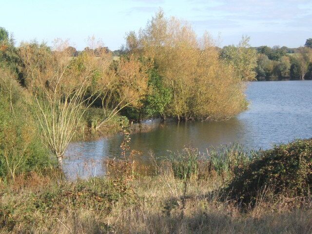 A corner of Alton Water