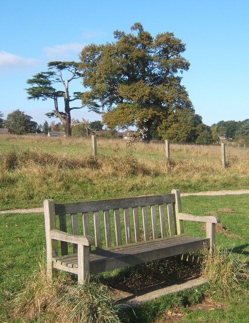 Memorial seat at a favourite spot near Tattingstone