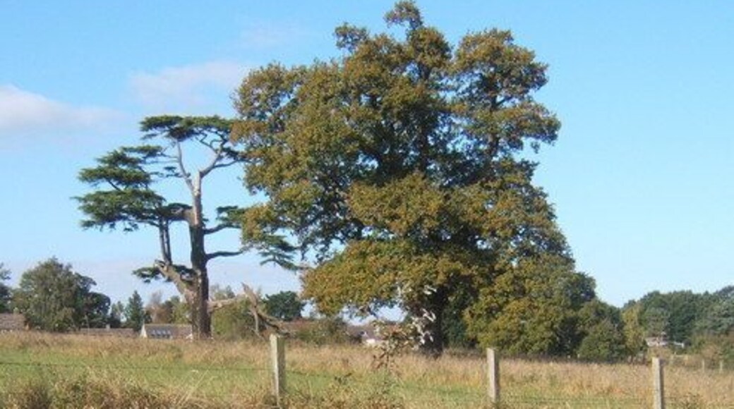 Memorial seat at a favourite spot near Tattingstone