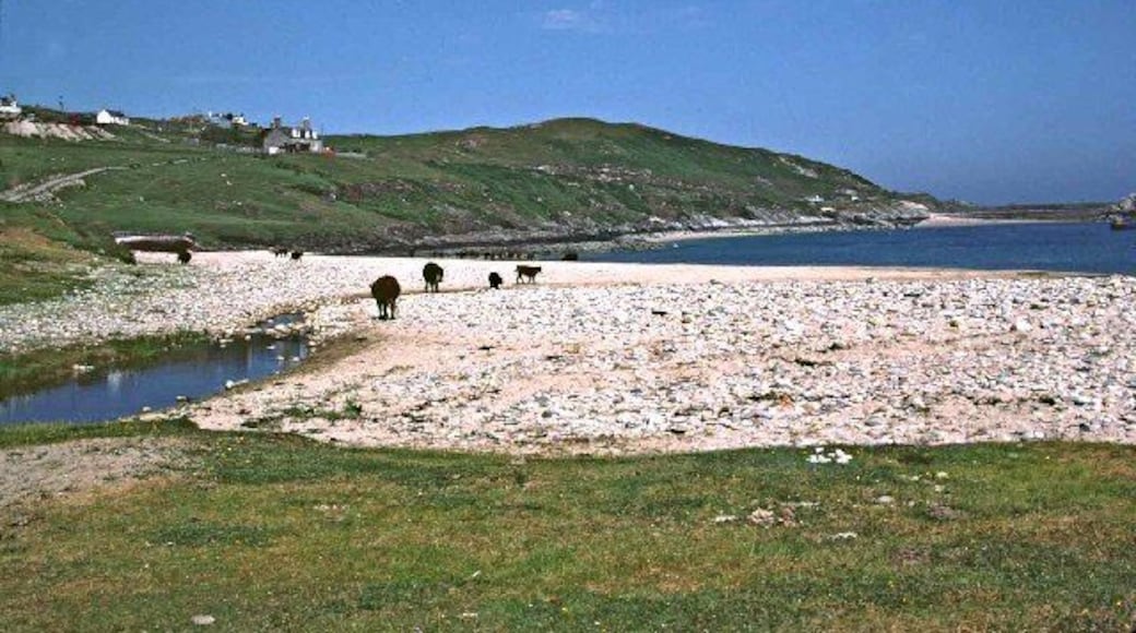 Talmine. Beach at Talmine showing where the stream goes under the shingle before flowing into the sea. Some cattle are walking on the beach. Part of the village can be seen on the hill.