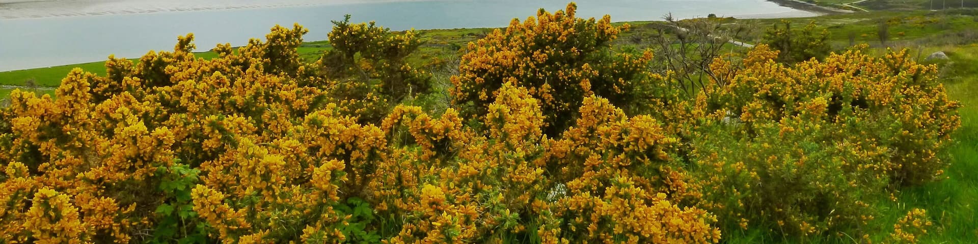 Bei Tongue an der nördlichen schottischen Küste