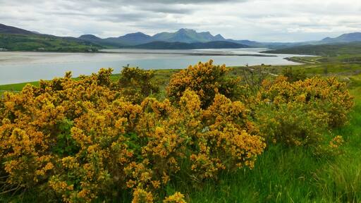 Bei Tongue an der nรถrdlichen schottischen Kรผste