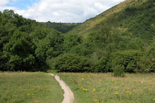 Lees Bottom in the Wye Valley