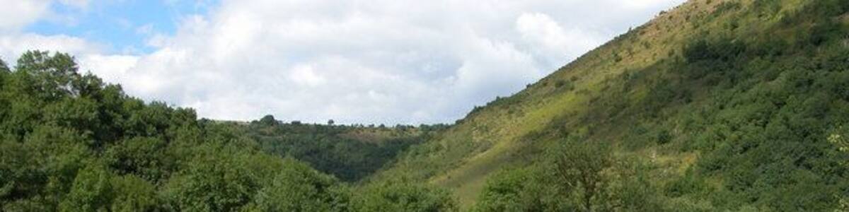 Lees Bottom in the Wye Valley