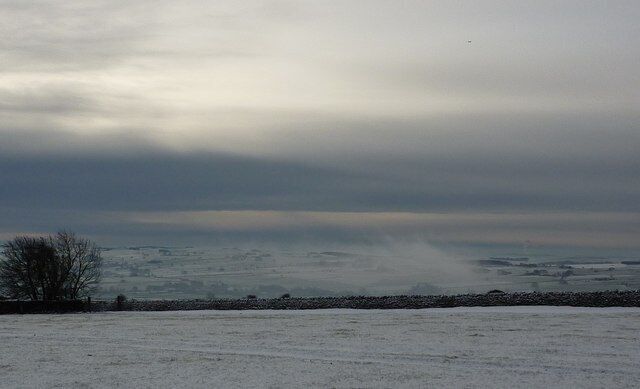 A snowy landscape with a stone wall and a leafless tree.
