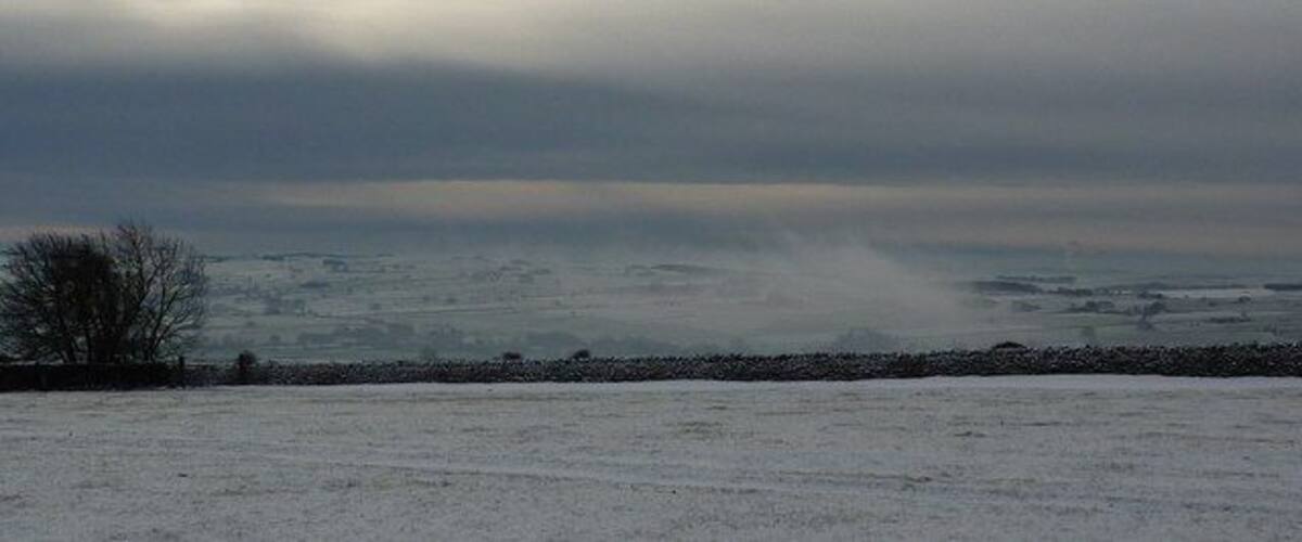 A snowy landscape with a stone wall and a leafless tree.