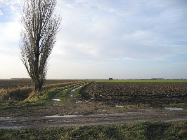 Rush Lane, Swineshead, Lincs View WNW from the junction with Park Lane in the foreground.
