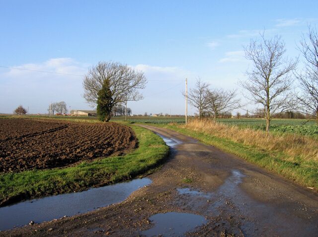 Stumpcross Lane, Swineshead, Lincs Now separated from the village by the by-pass, the view is north from the junction with the track down to Broad Ings Farm, with The Steyning left of centre.