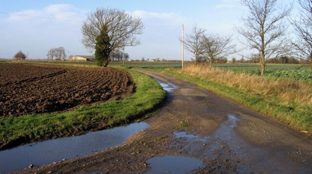 Stumpcross Lane, Swineshead, Lincs Now separated from the village by the by-pass, the view is north from the junction with the track down to Broad Ings Farm, with The Steyning left of centre.