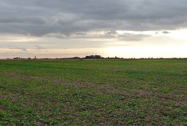 Farmland near Algarkirk Fen The farm manager kindly gave me permission to photograph.