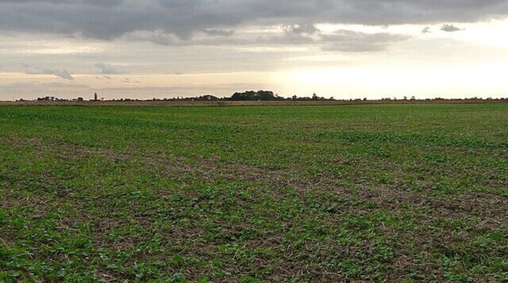 Farmland near Algarkirk Fen The farm manager kindly gave me permission to photograph.
