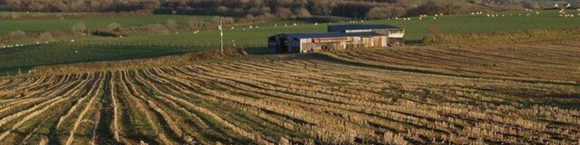 Farm building near Accott. Sunlight highlights rows of stubble on this plateau-like area immediately north of 618866. But appearances are deceptive; two deep valleys, the first of them the valley of the River Venn, lie between the corrugated iron barn and the buildings at Middle Stoodleigh, which are in SS6532. The line of sight cuts across the view in the background of 621242, in which the valleys are clearly seen.