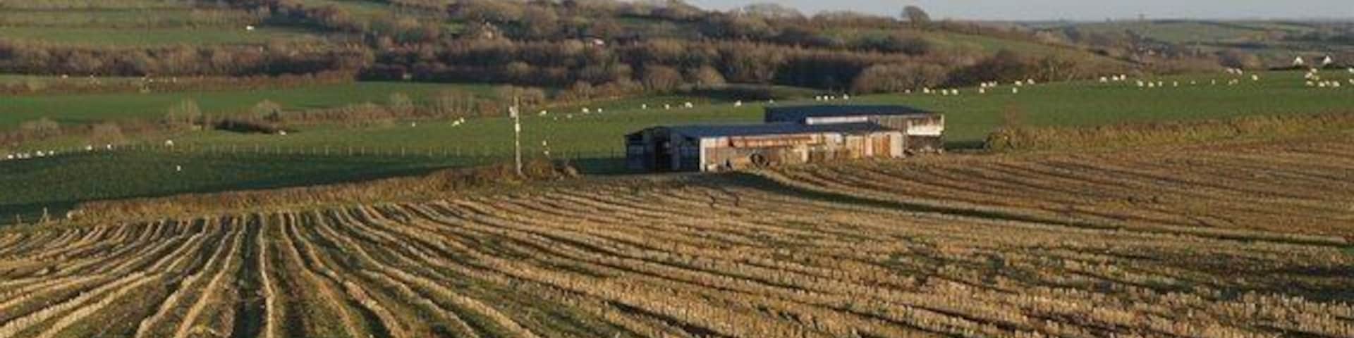 Farm building near Accott. Sunlight highlights rows of stubble on this plateau-like area immediately north of 618866. But appearances are deceptive; two deep valleys, the first of them the valley of the River Venn, lie between the corrugated iron barn and the buildings at Middle Stoodleigh, which are in SS6532. The line of sight cuts across the view in the background of 621242, in which the valleys are clearly seen.