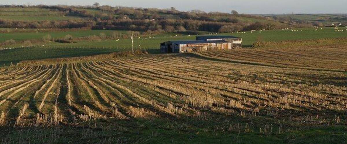 A rural landscape with a barn and fields.