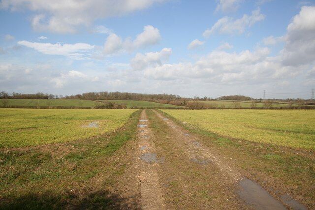 Bridleway to Dodsey Wood Looking north from Overgate Road