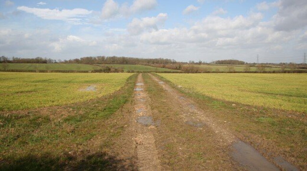 Bridleway to Dodsey Wood Looking north from Overgate Road