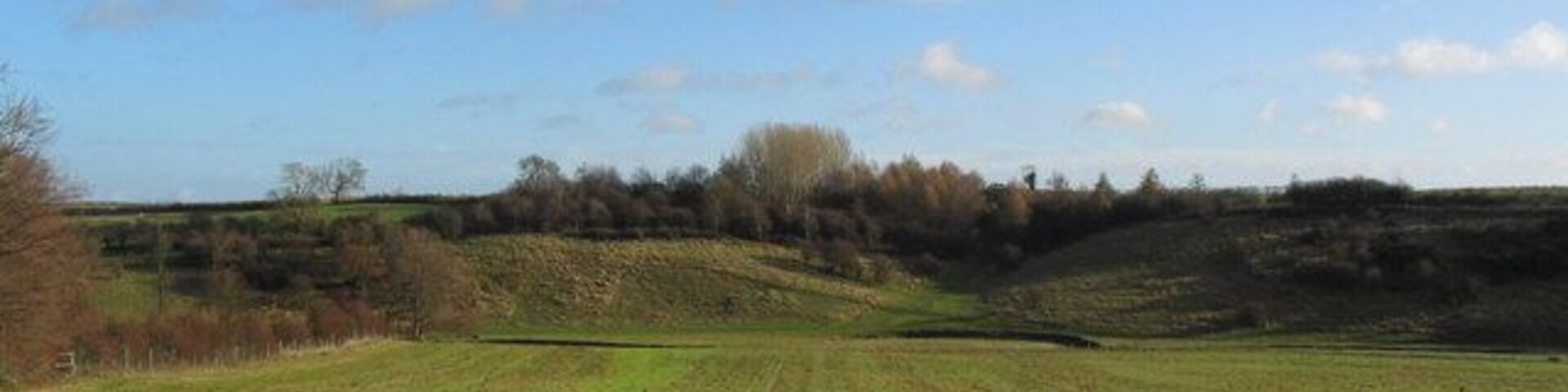 Un campo cubierto de césped con colinas onduladas y algunos árboles bajo un cielo despejado.