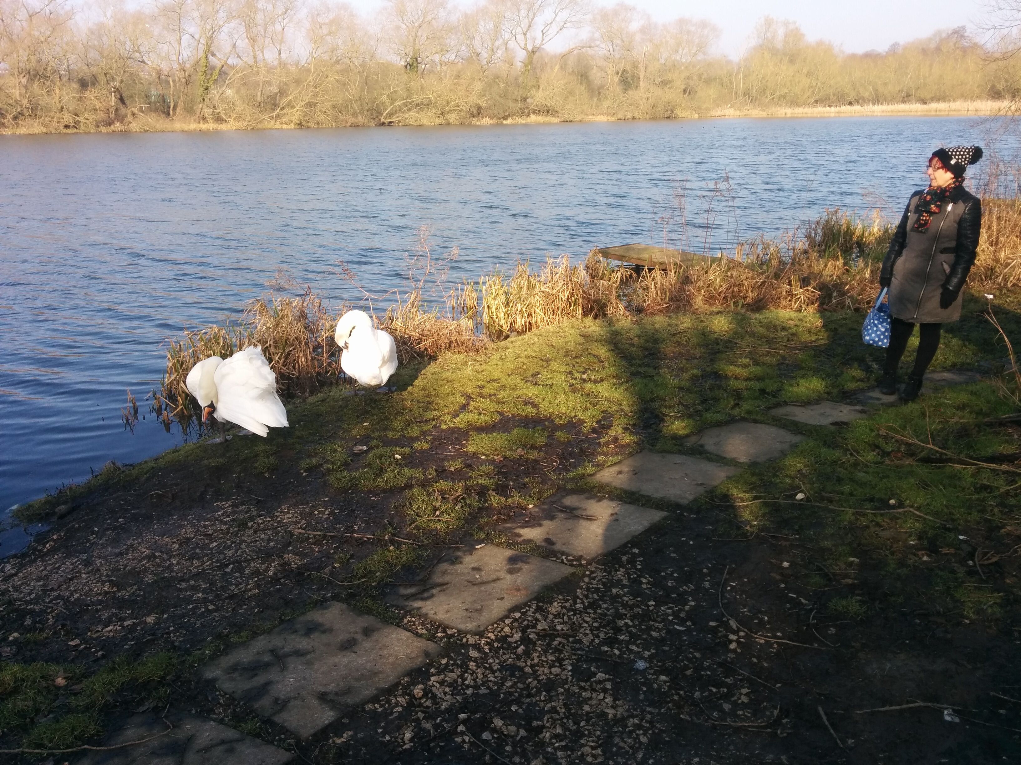butterley reservoir divi gboards maybe near Ripley