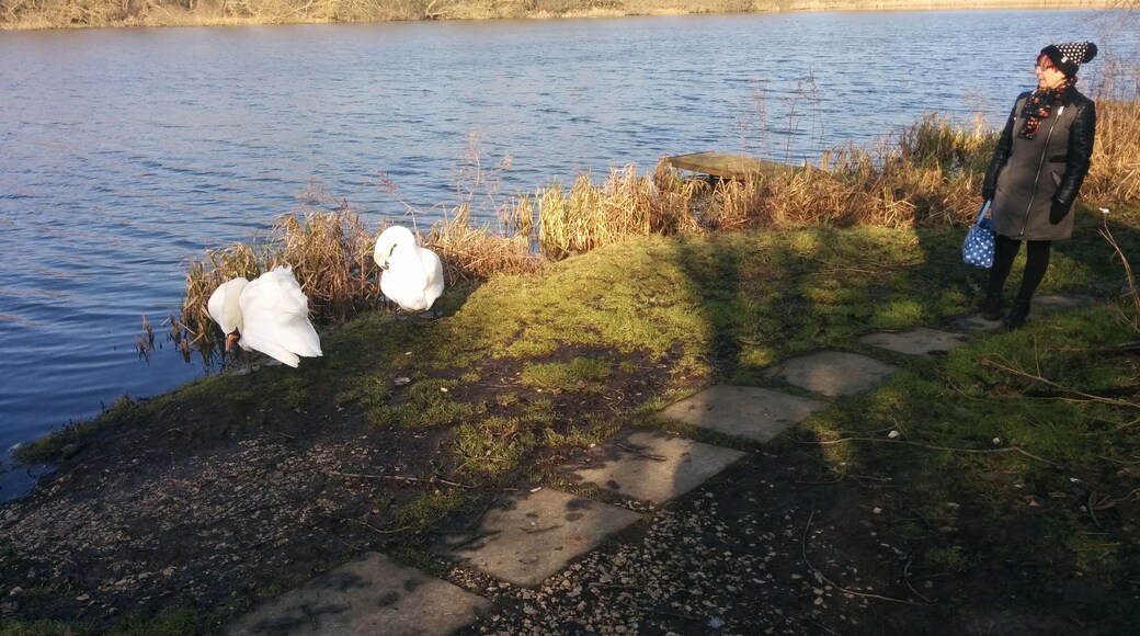 butterley reservoir divi gboards maybe near Ripley