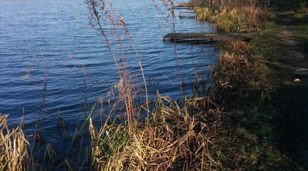 Butterley Reservoir divi gboards maybe near Ripley