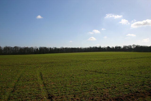 Farmland near the A11 / A14 intersection Looking south-eastwards towards Green Lane Belt. There is no sign of the tumulus shown on the OS map; possibly it has been ploughed over.
