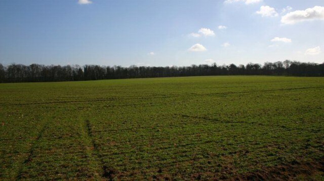 Farmland near the A11 / A14 intersection Looking south-eastwards towards Green Lane Belt. There is no sign of the tumulus shown on the OS map; possibly it has been ploughed over.