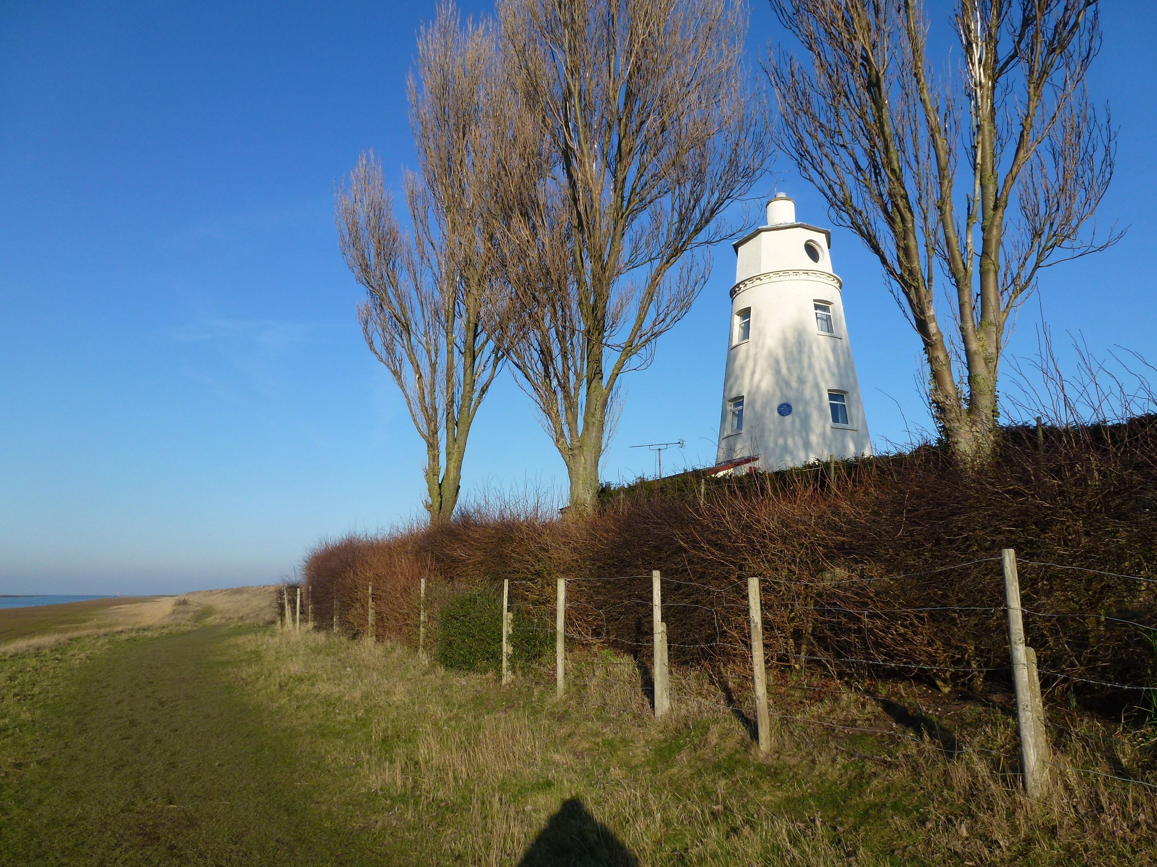 A white lighthouse with a circular tower, surrounded by leafless trees and a grassy field.
