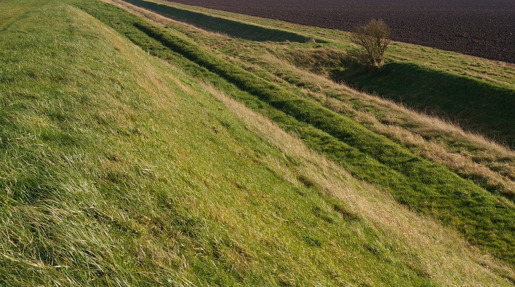 Causeway across a drain This small causeway provides access to the sea bank from the adjoining field. Or possibly vice versa; it's hard to be sure.