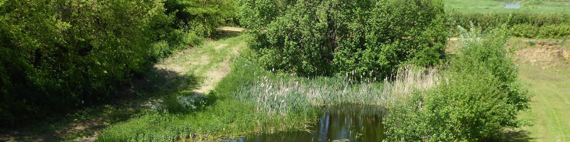 Valley Farm Pit is a geological Site of Special Scientific Interest east of Sudbourne in Suffolk.