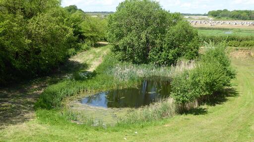 Valley Farm Pit is a geological Site of Special Scientific Interest east of Sudbourne in Suffolk.