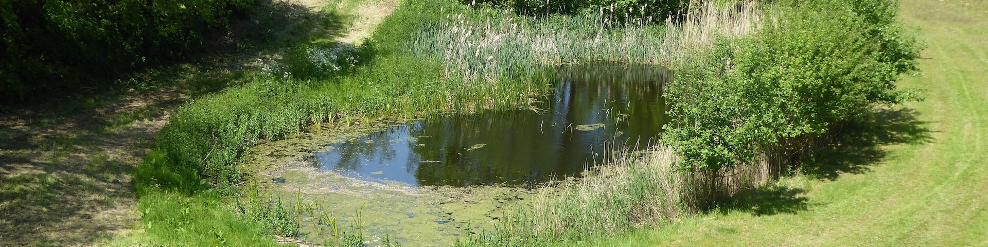 Valley Farm Pit is a geological Site of Special Scientific Interest east of Sudbourne in Suffolk.