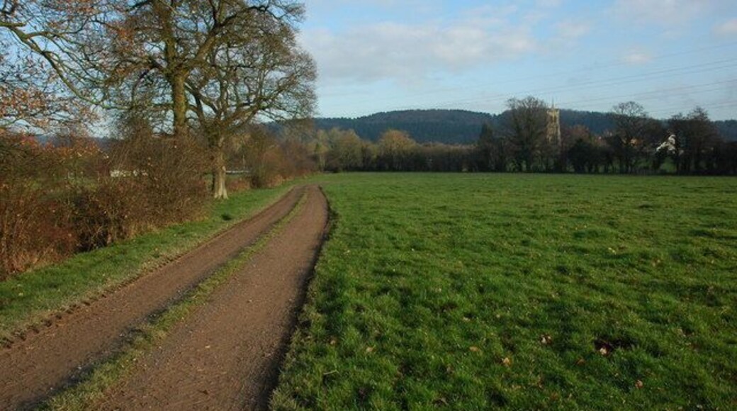 Track near Suckley Court Suckley church can be seen through the trees in the middle distance.