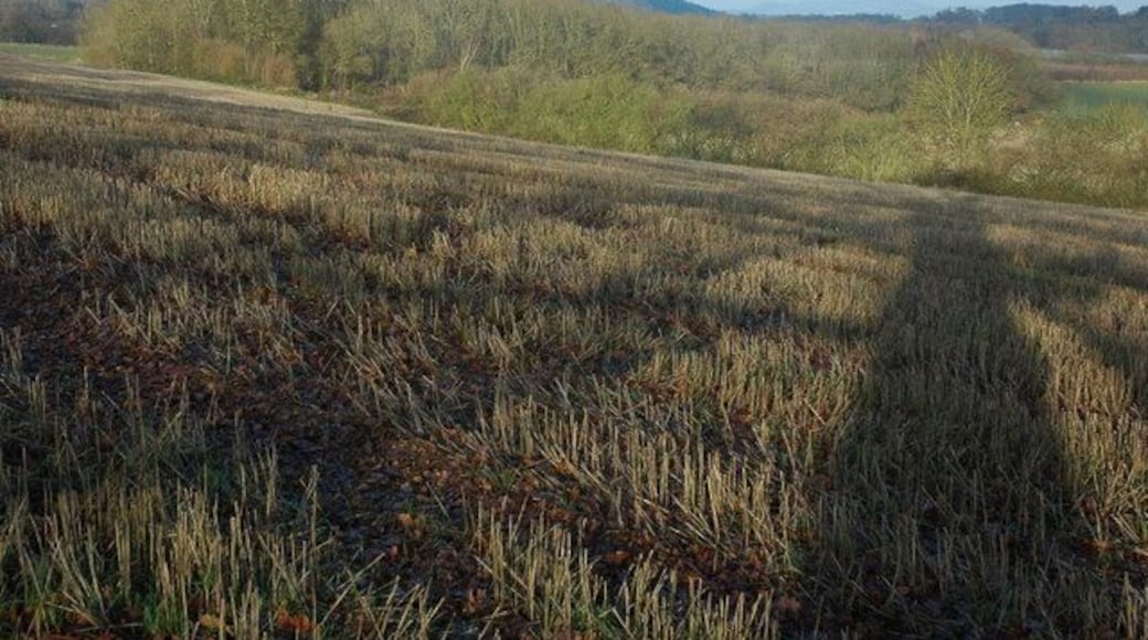 Stubble field at Archenhills, Suckley View to the north-east from Archenhills, the Abberley Hills are just visible in the distance.