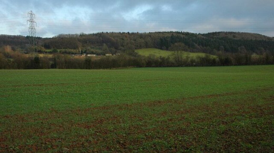 The Suckley Hills The wooded Suckley Hills viewed from the road to the south of Suckley Knowle.