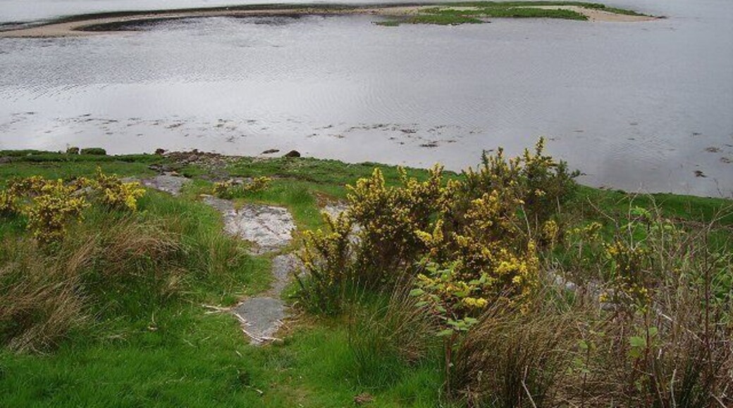 Mouth of the Strontian. Aluvial deposits where the Strontian River reaches Loch Sunart at high tide. The dry area is being used as a nesting site by gulls (don't know which species).