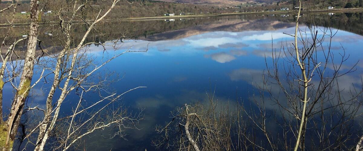 A calm lake with reflections of trees and mountains in the background.