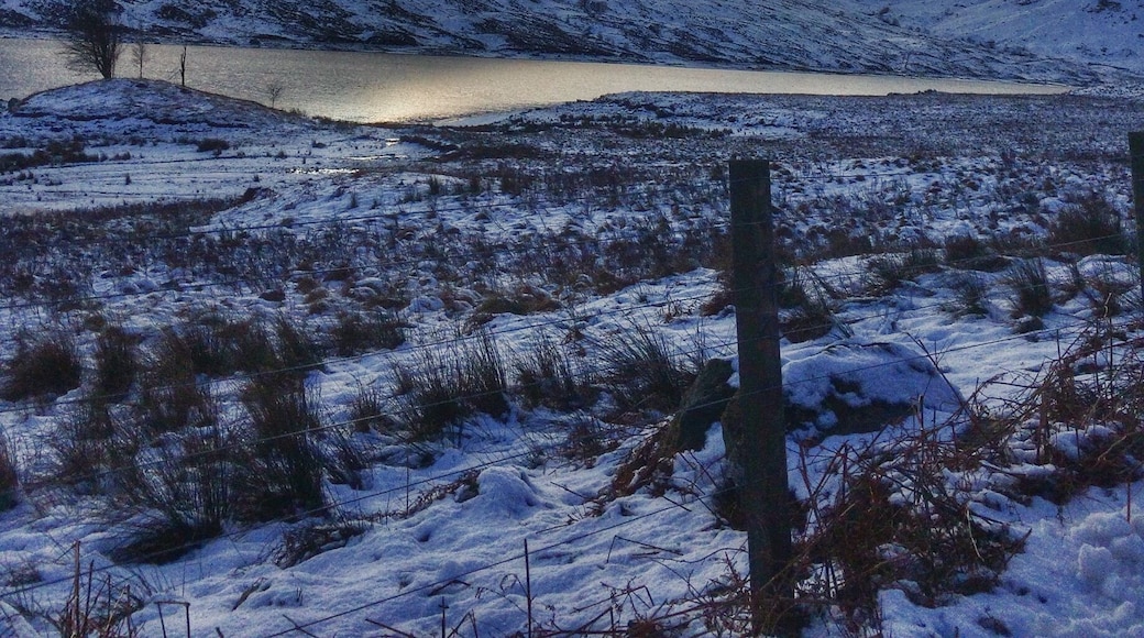 Nice wee day out in the sun and snow. An hours drive from the city to get to some beautiful scenery.