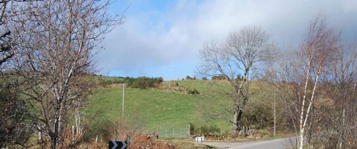 A rural road curving through a hilly area with sparse trees and a grassy hill in the background.