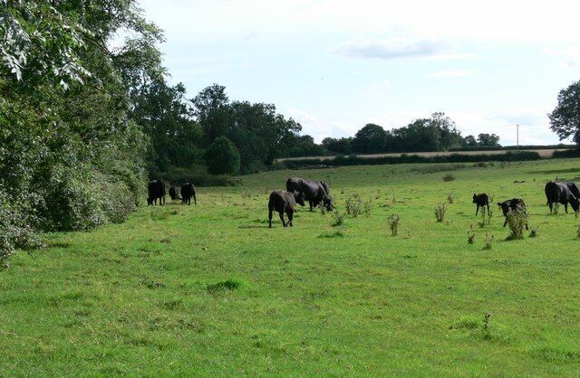 Farmland near Sapcote A public bridleway crosses this field on its way to Sapcote.