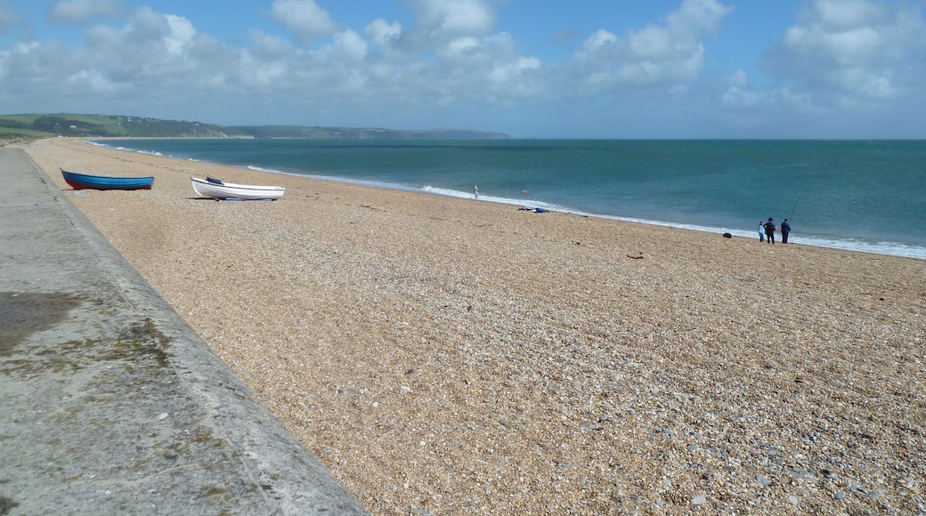 Torcross beach Devon